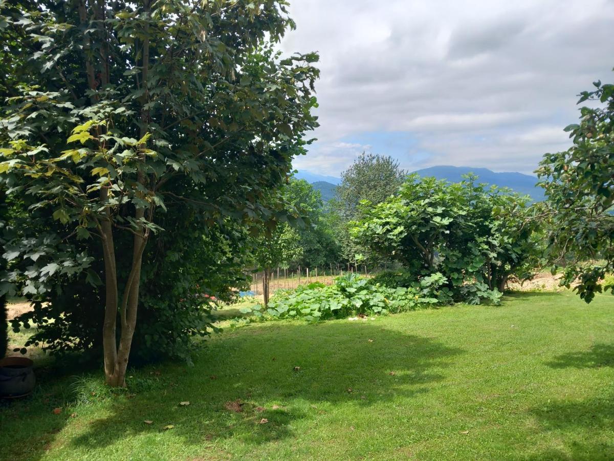 Maisonnette A La Campagne Ariege Villa Saint-Girons  Kültér fotó